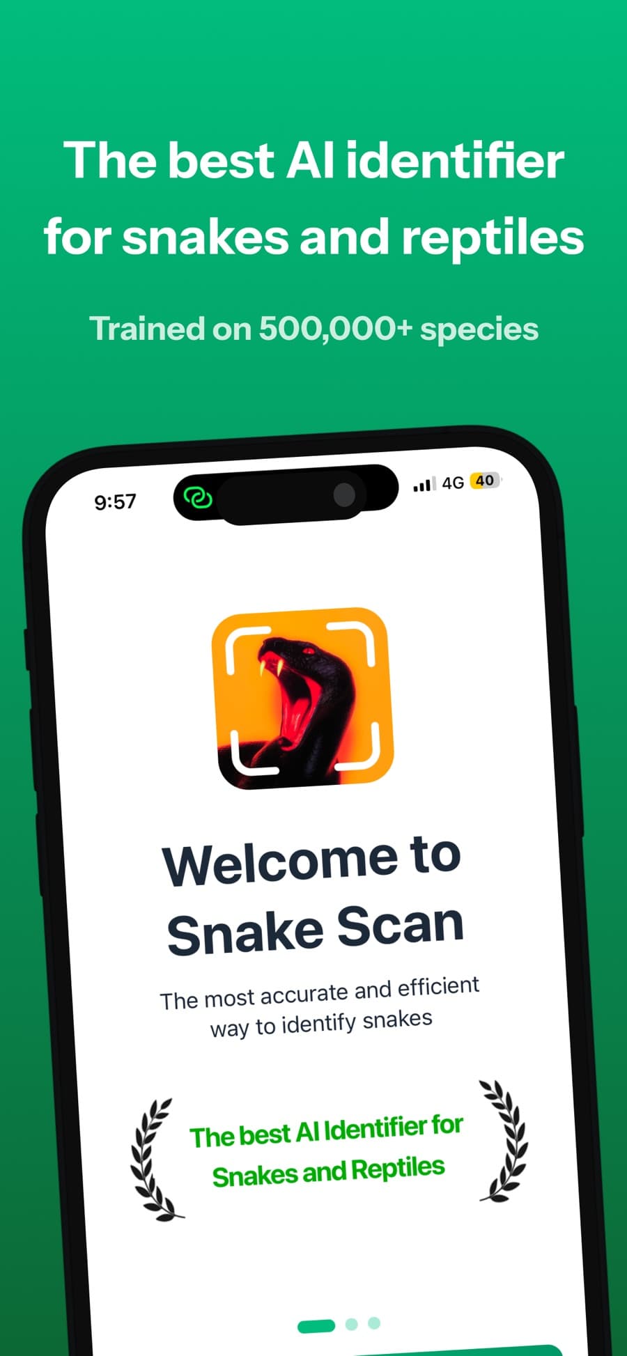 Snake Scan identification